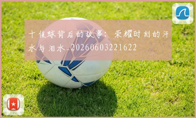 十佳球背后的故事：荣耀时刻的汗水与泪水_20260603221622